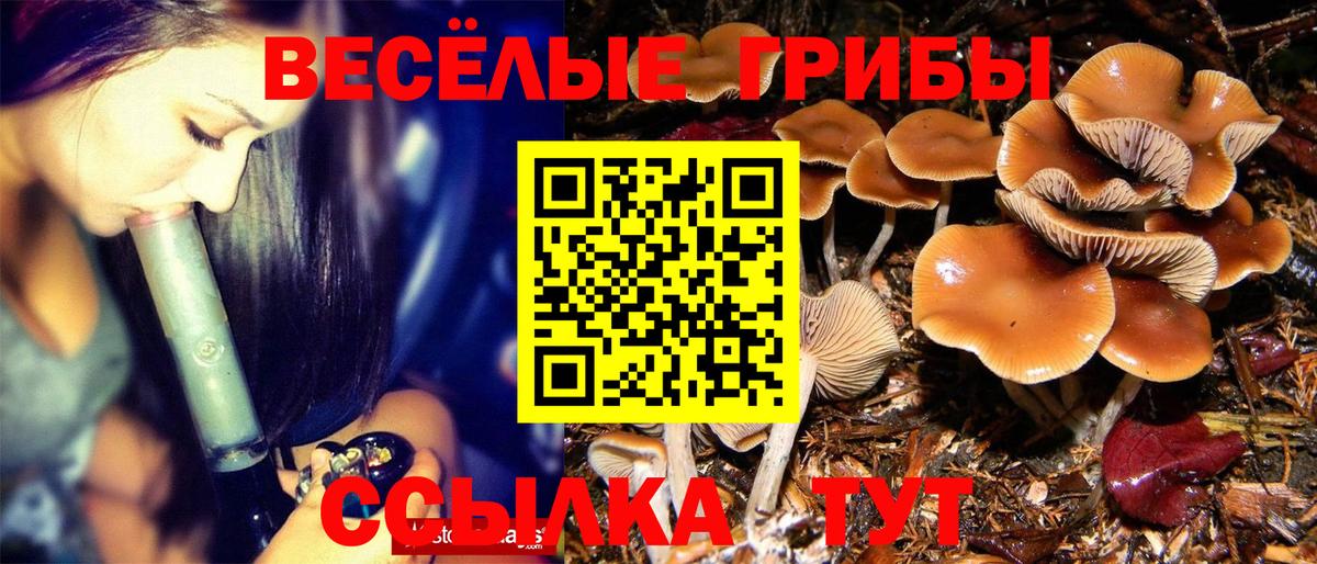 Псилоцибиновые грибы Magic Shrooms  Вход с VPN  Ачинск 